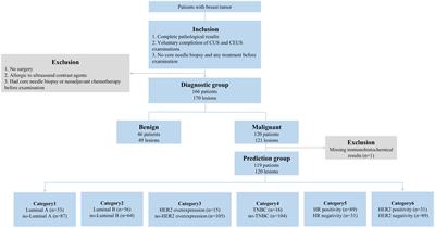 Conventional ultrasound and contrast-enhanced ultrasound radiomics in breast cancer and molecular subtype diagnosis